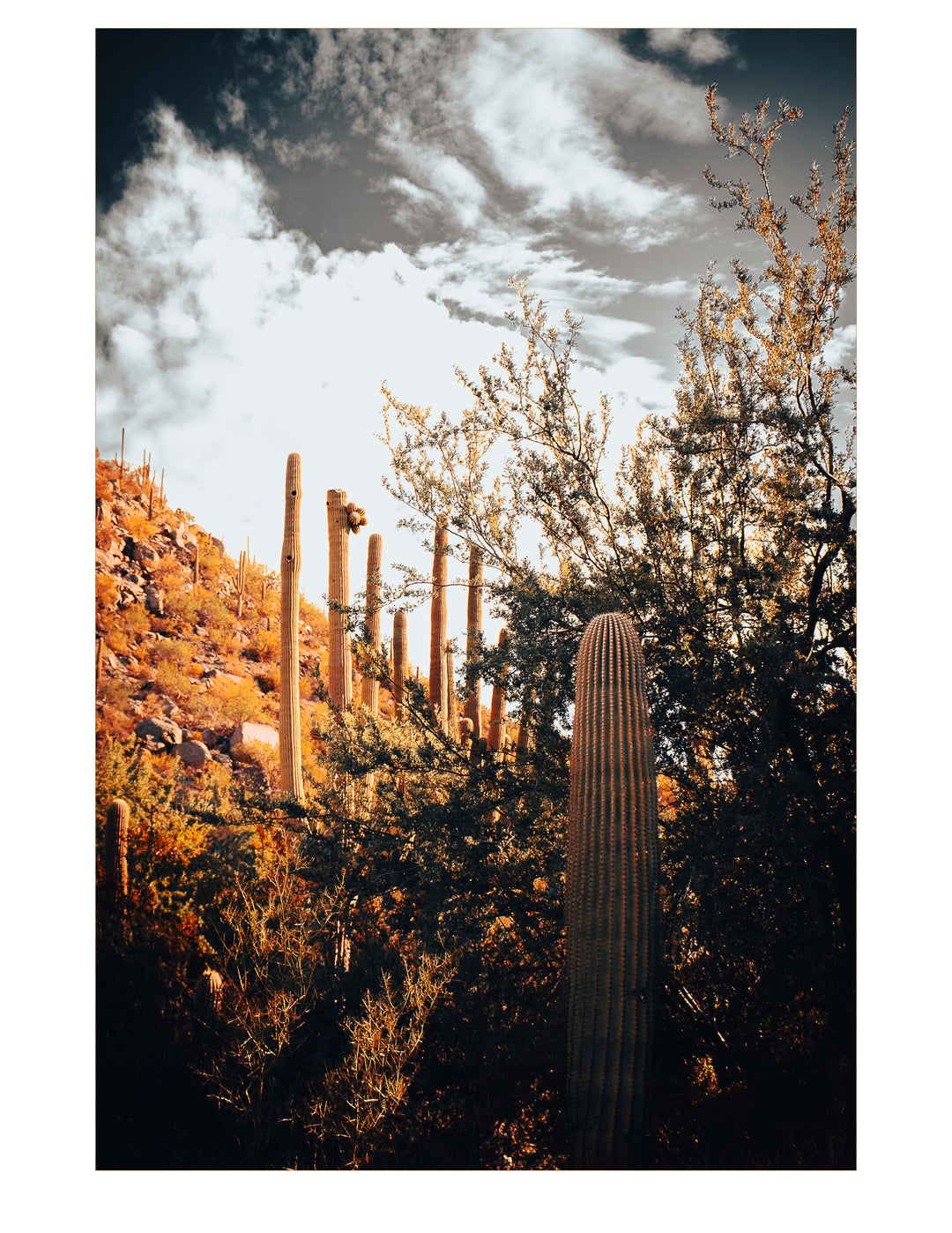 Dramatic Golden Ridge-Casa Dolce