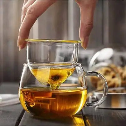Clear Glass Tea Cup with Infuser and Lid, Borosilicate Large-Casa Dolce