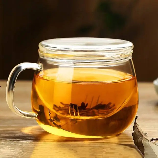 Clear Glass Tea Cup with Infuser and Lid, Borosilicate Large-Casa Dolce