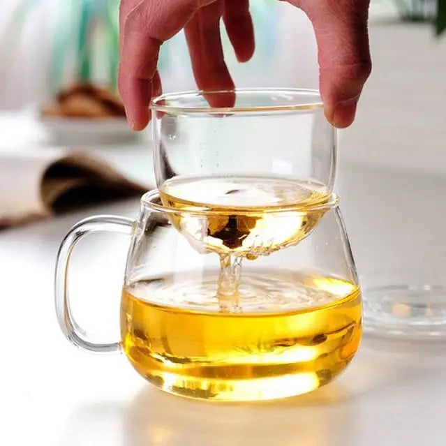 Clear Glass Tea Cup with Infuser and Lid, Borosilicate Large-Casa Dolce