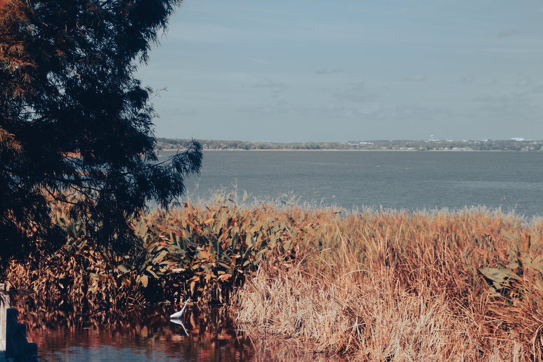 Edge of the Wild-Casa Dolce